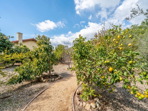 Santa Barbara County Home 998571