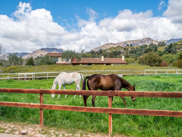 Santa Barbara County Home 998571