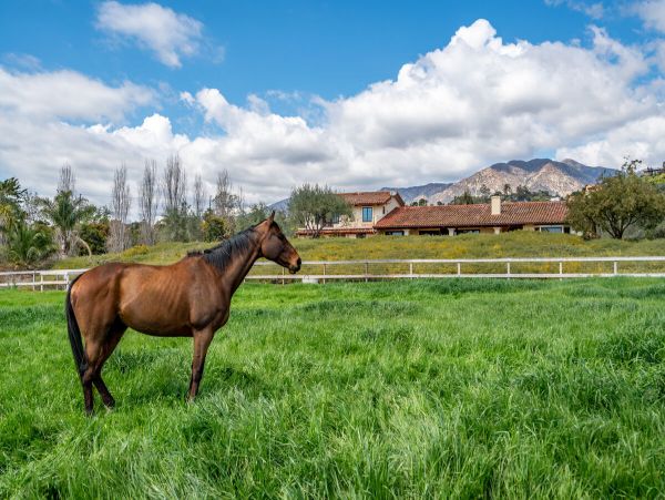 Santa Barbara County Home 998571