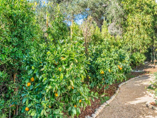 Santa Barbara County Home 998574