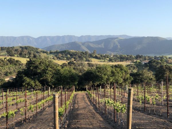 Santa Barbara County Home 998584