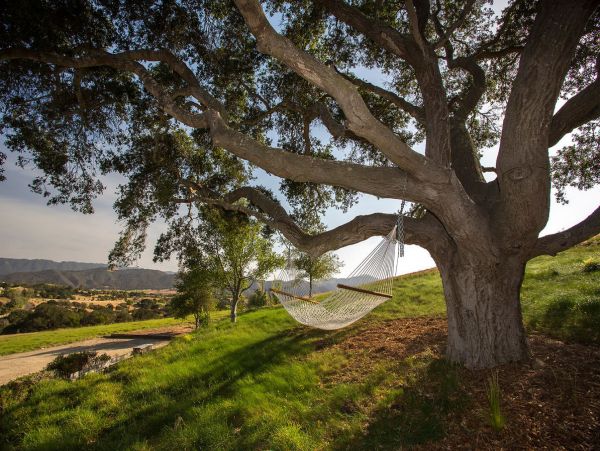 Santa Barbara County Home 998584