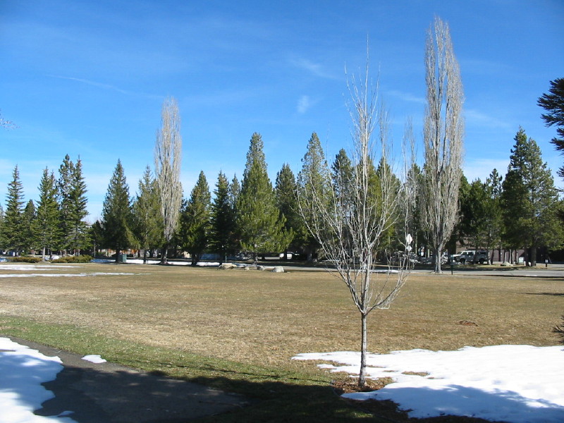 Lake Tahoe South Shore Home 998612