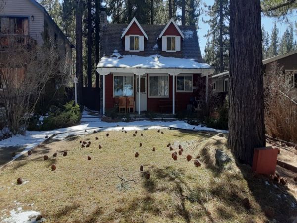 Lake Tahoe South Shore Home 998614