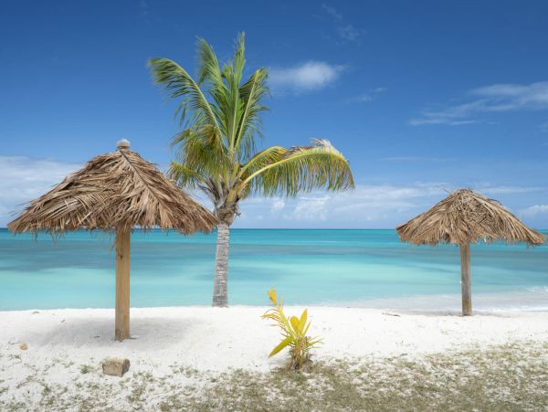 Antigua Luxury Beach Villa Ocean Views & Private Pool