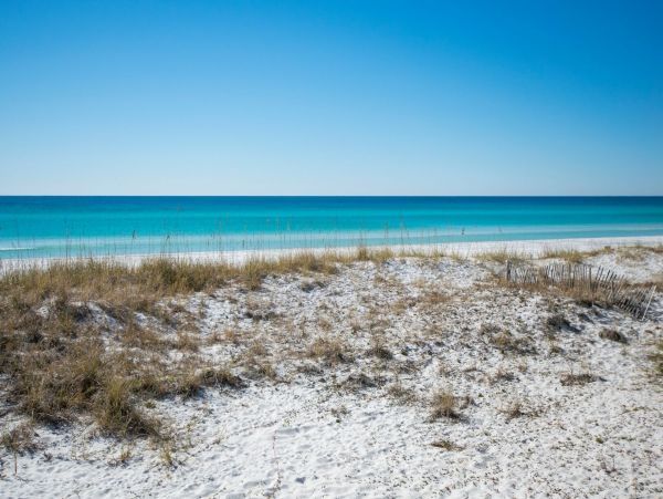 Luxury Coastal Vacation Home in Miramar Beach 30 Guests