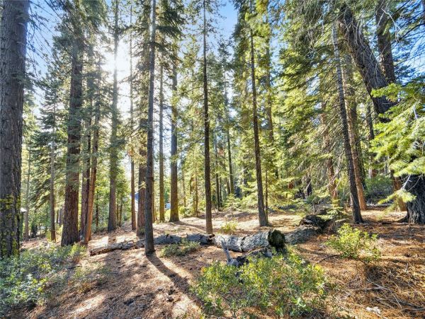 Lake Tahoe North Shore Home 999028