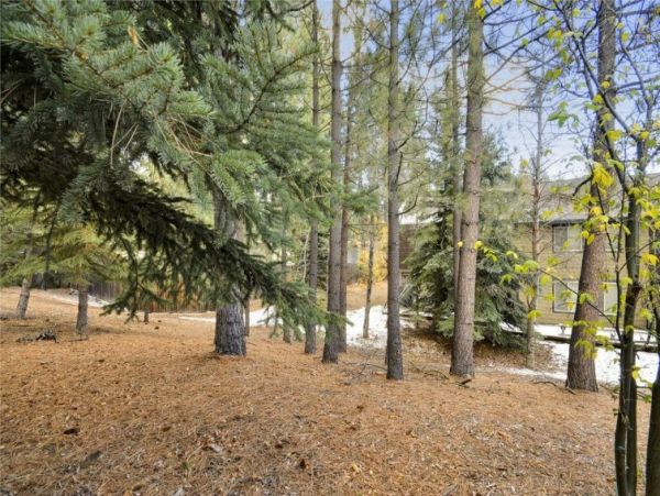 Lake Tahoe North Shore Home 999035