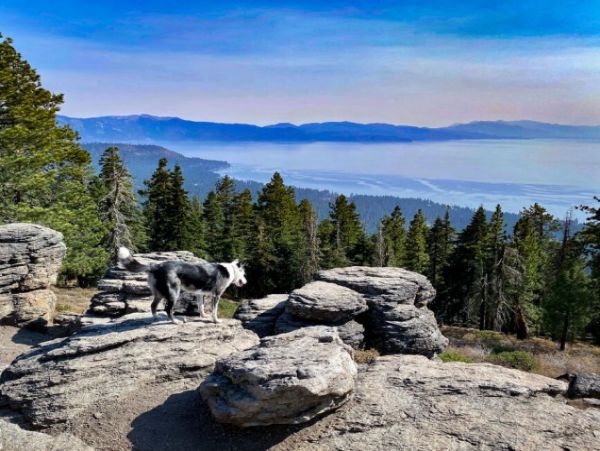 Lake Tahoe North Shore Home 999047