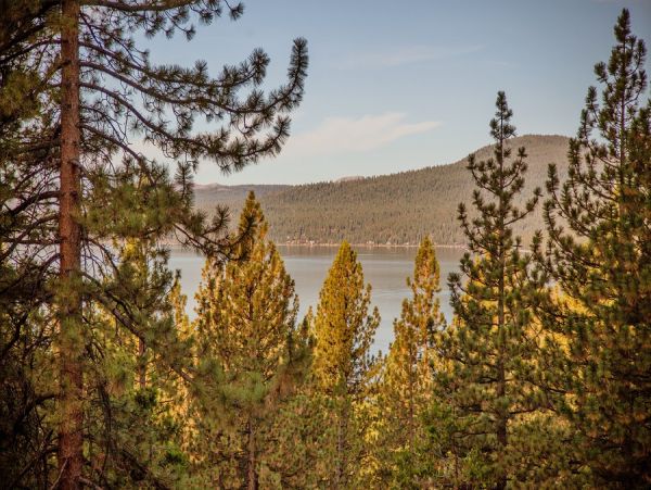 Lake Tahoe North Shore Home 999049