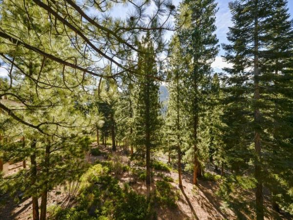 Lake Tahoe North Shore Home 999056