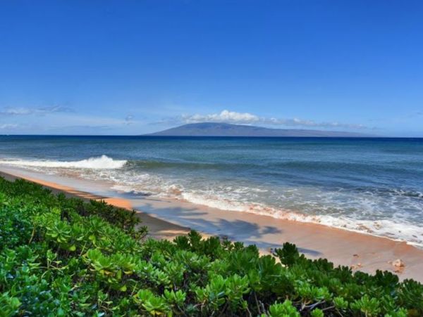Cozy Oceanfront Vacation Studio in Lahaina On Beach Sleeps 2