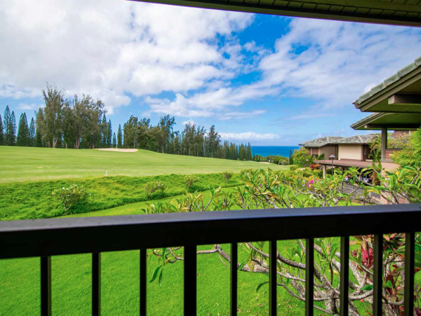 Spacious Vacation Condo in Kapalua One Bedroom Sleeps 4