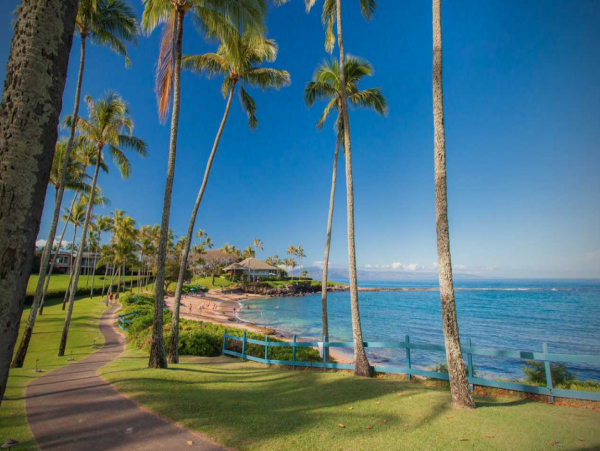 Spacious Vacation Condo in Kapalua One Bedroom Sleeps 4