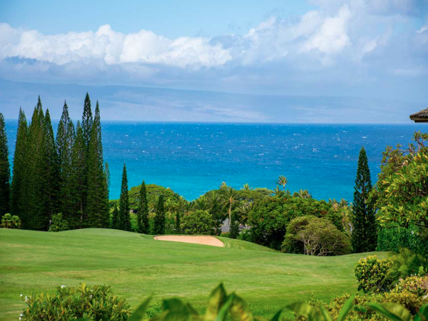 Spacious Vacation Condo in Kapalua One Bedroom Sleeps 4