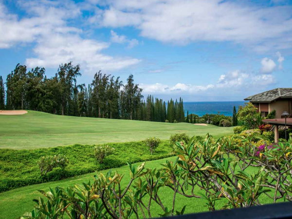 Spacious Vacation Condo in Kapalua One Bedroom Sleeps 4