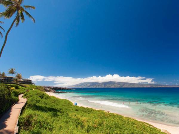 Spacious Vacation Condo in Kapalua One Bedroom Sleeps 4