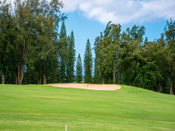 Spacious Vacation Condo in Kapalua One Bedroom Sleeps 4