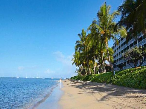 Premier Oceanfront Vacation Studio Located on Beach