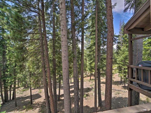 Lake Tahoe South Shore Condo 999184