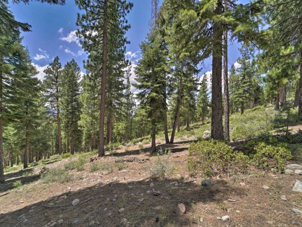 Lake Tahoe South Shore Condo 999184