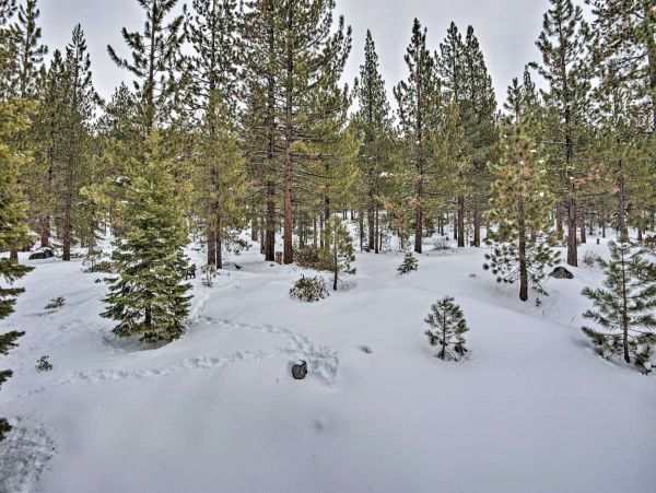 Lake Tahoe South Shore Home 999193