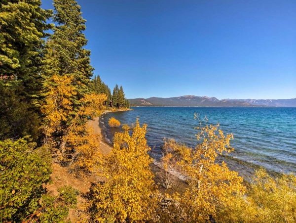Lake Tahoe South Shore Condo 999197