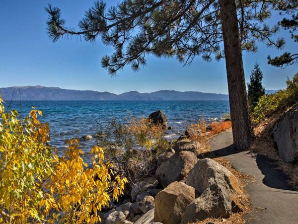 Lake Tahoe South Shore Condo 999197