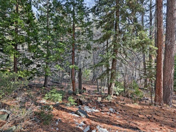 Lake Tahoe South Shore Condo 999216