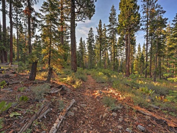 Lake Tahoe South Shore Home 999218