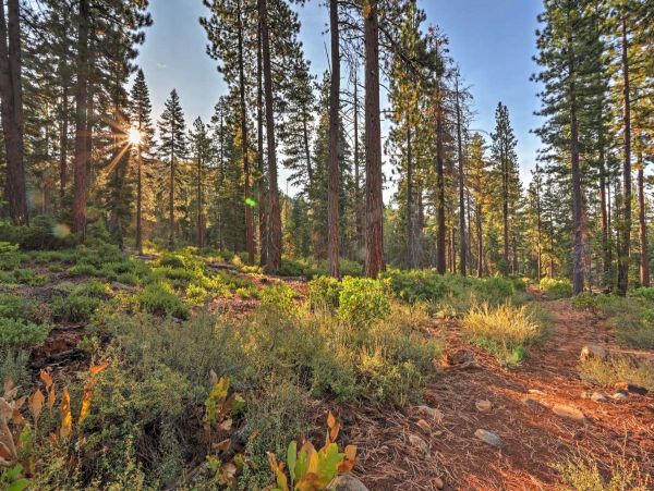 Lake Tahoe South Shore Home 999218