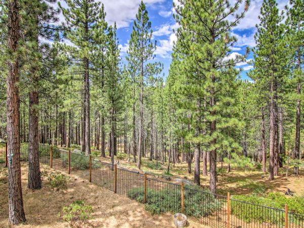 Lake Tahoe South Shore Home 999224