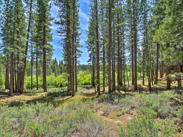Lake Tahoe South Shore Home 999225