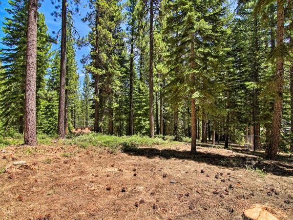 Lake Tahoe South Shore Home 999243