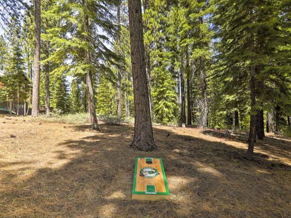 Lake Tahoe South Shore Home 999243