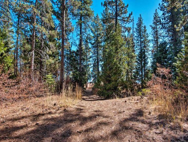 Lake Tahoe South Shore Home 999253