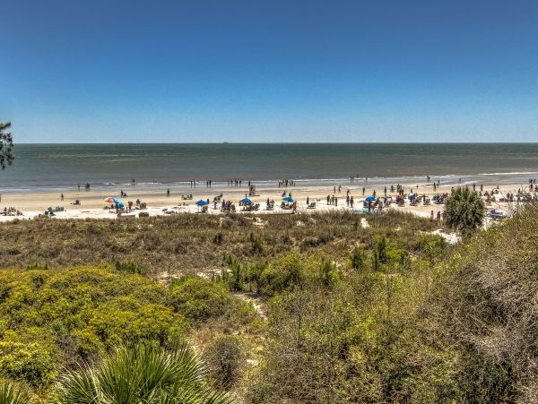 Hilton Head Condo 999273