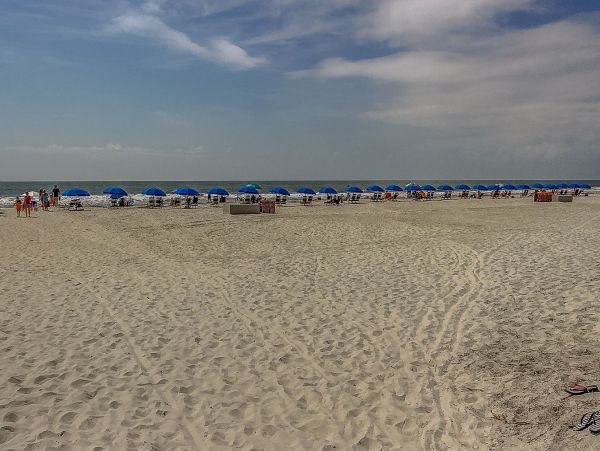 Hilton Head Condo 999283