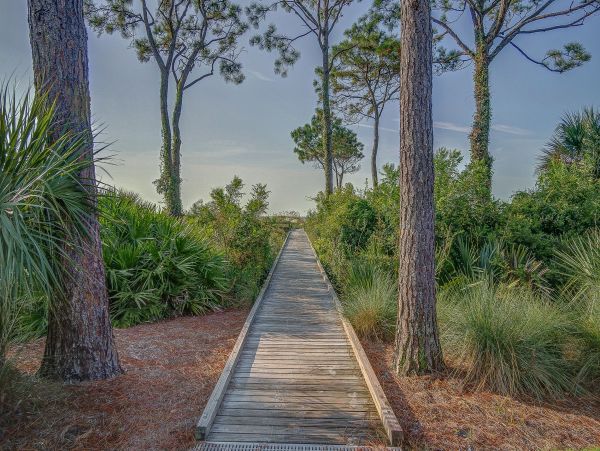 Hilton Head Condo 999285