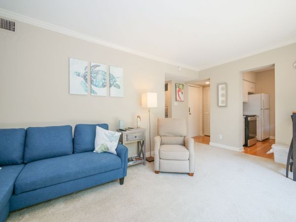 Hilton Head Condo 999305
