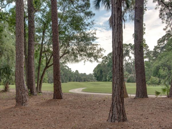 Top Vacation Rental Home in Hilton Head for Your Dream Getaway