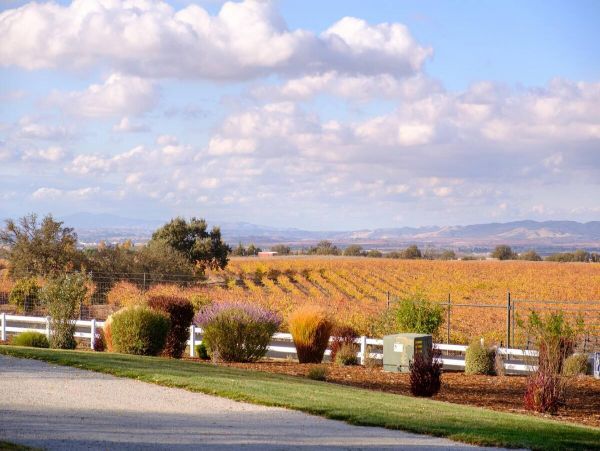 Great View Seven Bedroom Vacation Home in Paso Robles