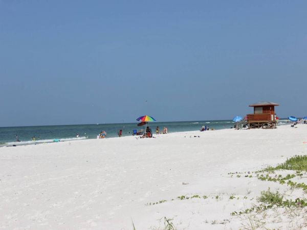 Adorable One Bedroom Vacation Condo in Lido Key Pool View