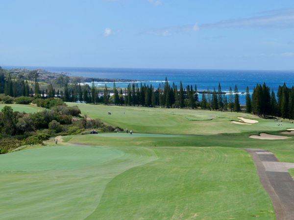 Beautiful & Remodeled Vacation Home in Kapalua Walk To Beach