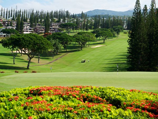 Beautiful & Remodeled Vacation Home in Kapalua Walk To Beach