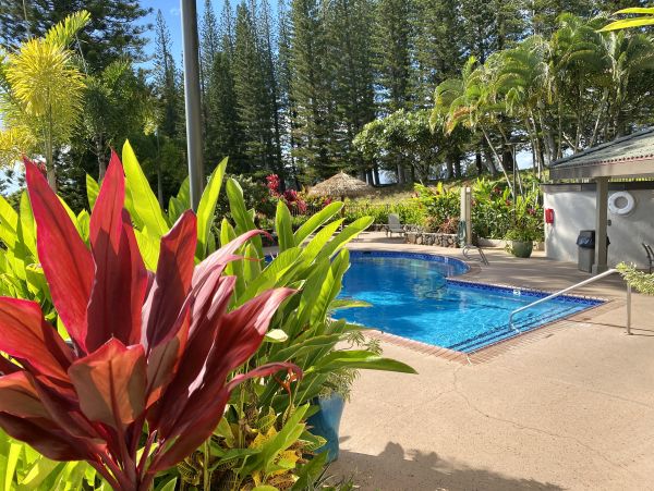 Beautiful & Remodeled Vacation Home in Kapalua Walk To Beach