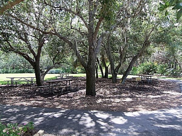 Bonita Springs Condo 999410