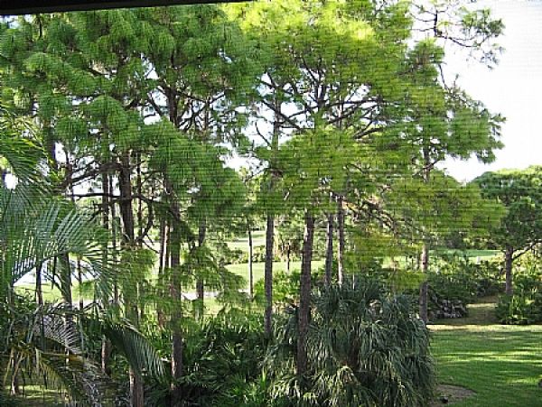 Bonita Springs Condo 999413
