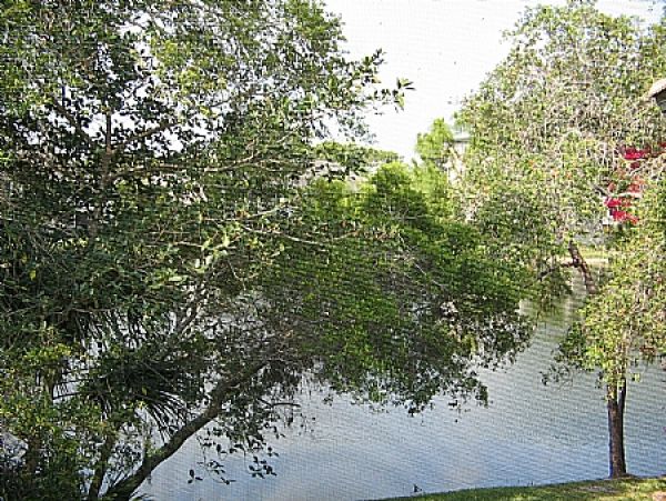 Bonita Springs Condo 999416
