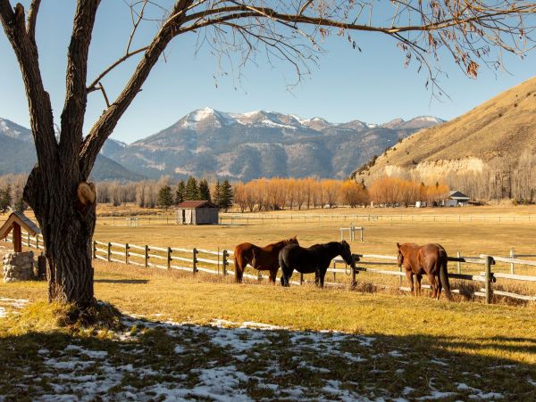 Truly Magnificent Six Bedroom Family Home In Jackson Hole